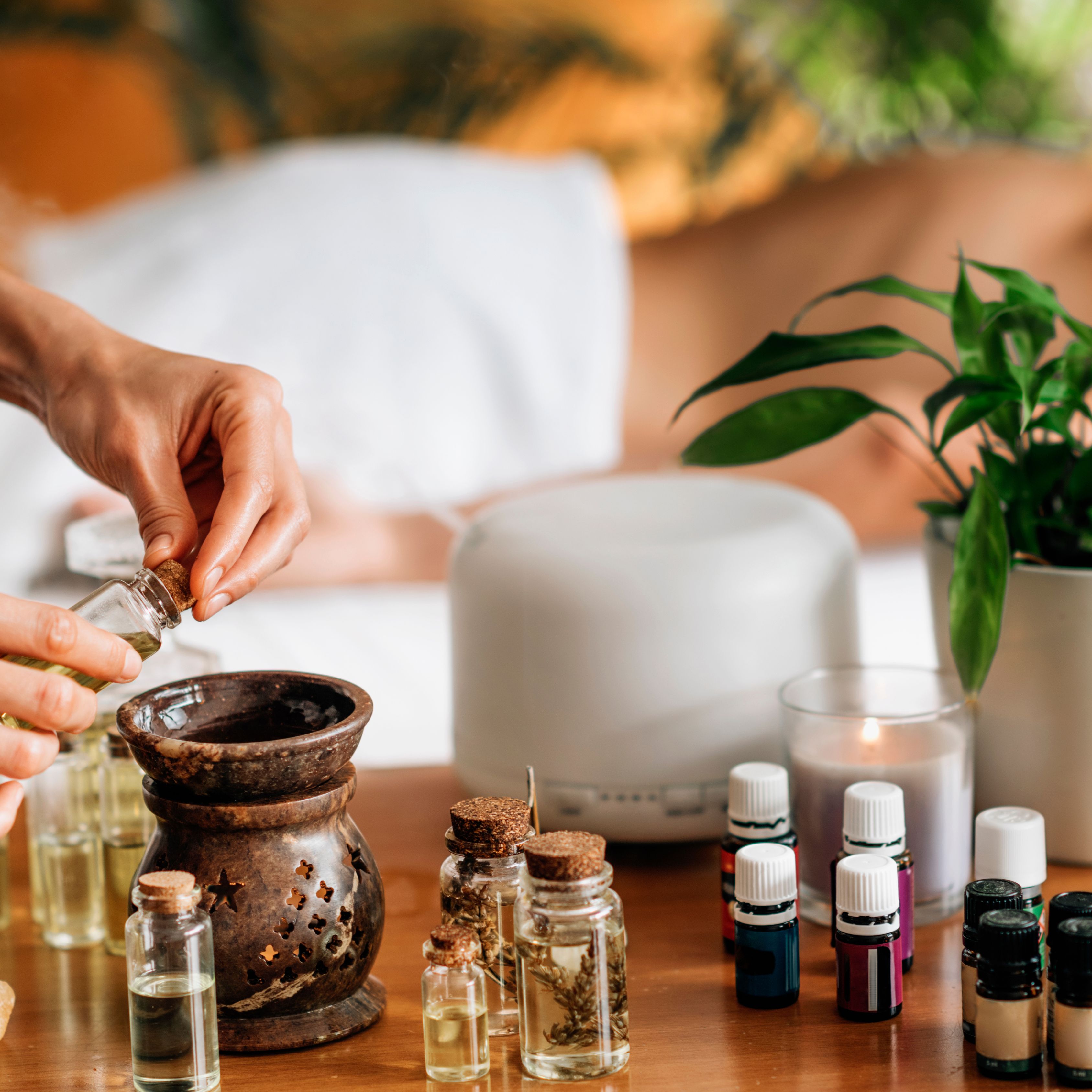 Ayurvedic Treatment - Herbal Poultice Therapy